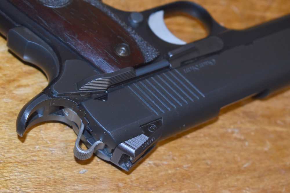 Dan Wesson Guardian 1911 4.25" .45 ACP Semi-Auto Pistol NS-img-6