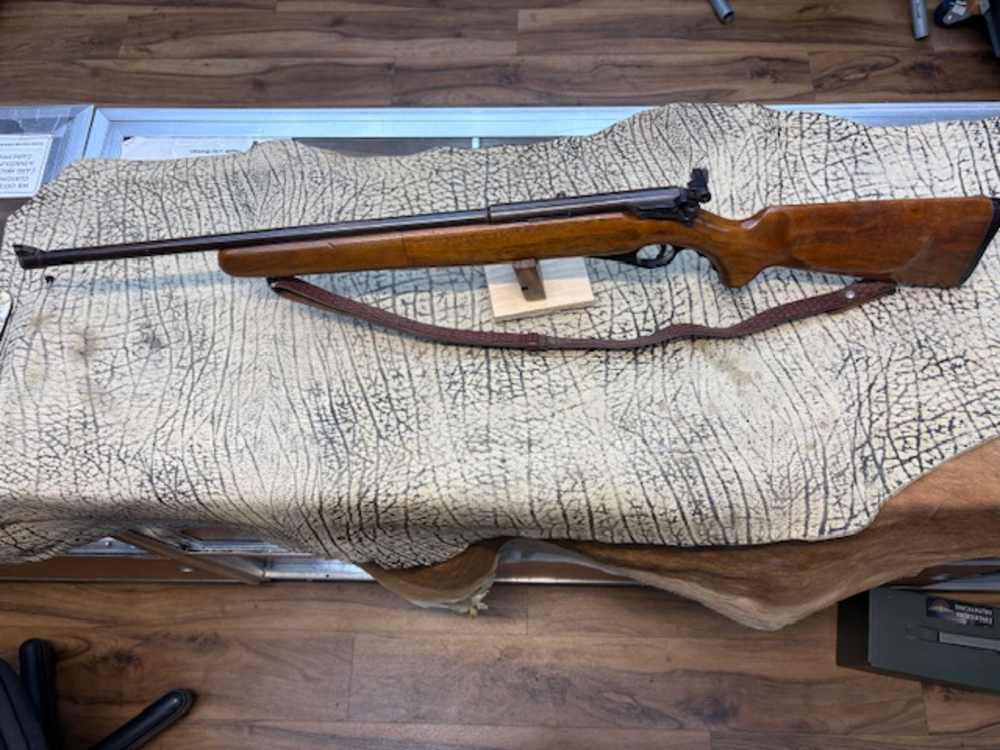 Mossberg 151 M .22 semi auto 20" barrel sling peep sight-img-1
