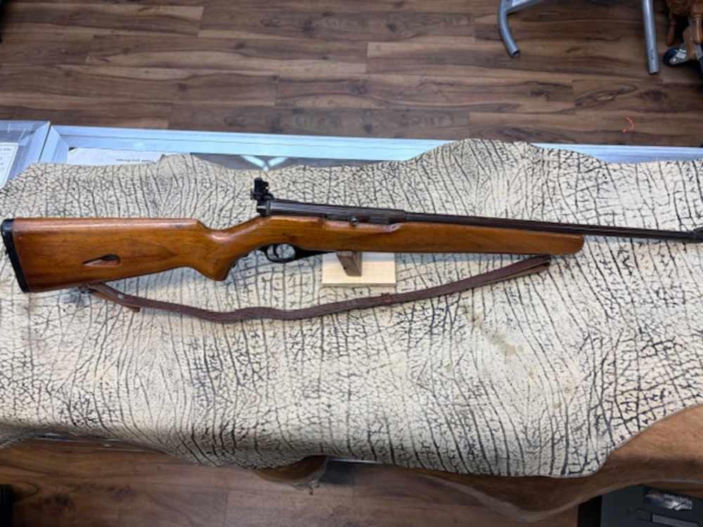 Mossberg 151 M .22 semi auto 20" barrel sling peep sight-img-0