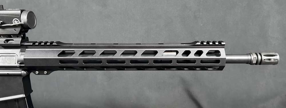 Custom AR15 PSA / Ballistic Advantage-img-5