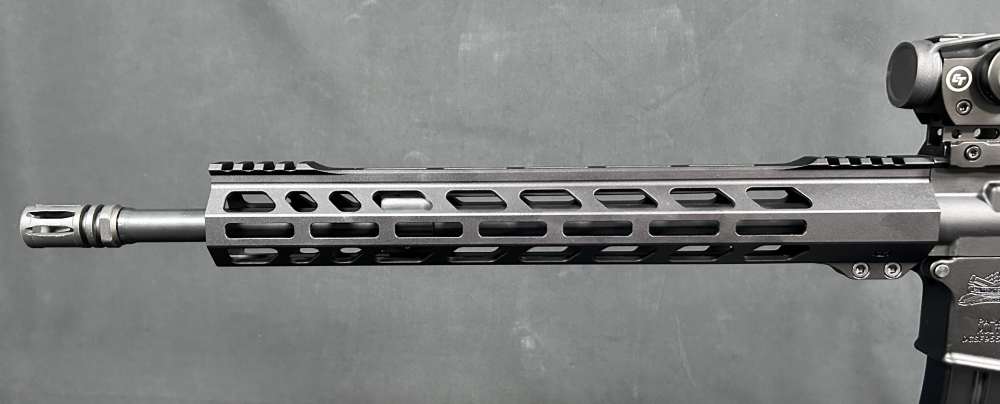 Custom AR15 PSA / Ballistic Advantage-img-6