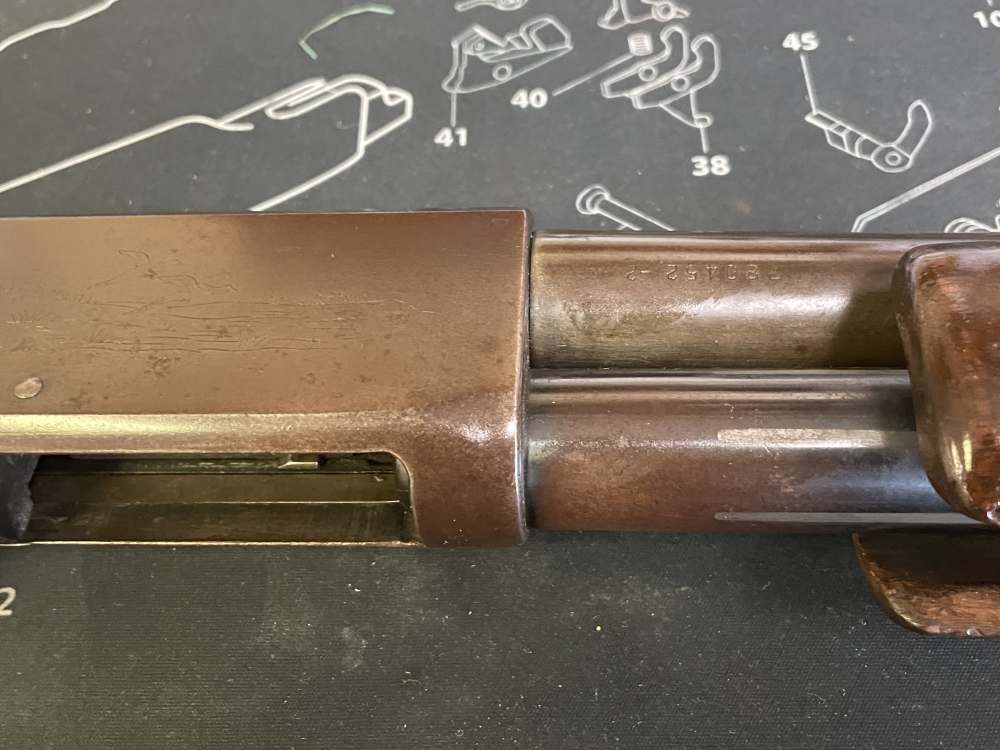 Ithaca Gun Co Model 37 Featherlight - ENGRAVING - 12ga - Pump - NICE RARE -img-14