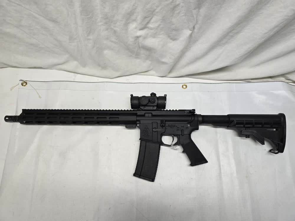 Del-Ton DTI-15 5.56 Nato w/ Tru Glo Red and Green Dot Sight-img-0