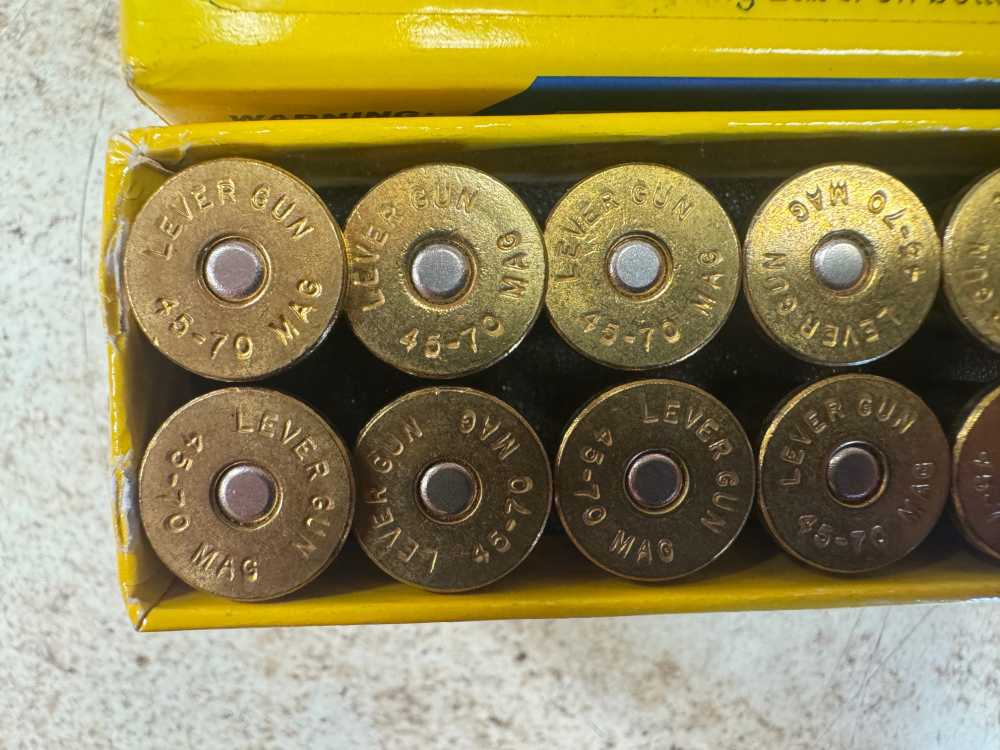BUFFALO BORE 45-70 GOVT MAGNUM 380 gr MONO-METAL 8DG  19Rds MISSING ONE-img-3