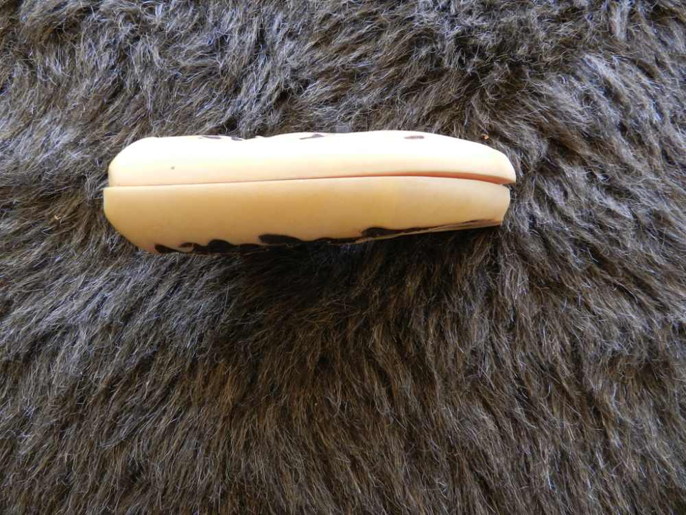 Colt Stag Grips, New-img-2