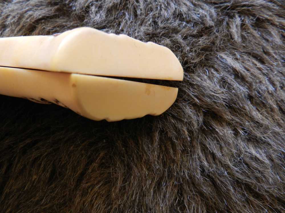 Colt Stag Grips, New-img-5