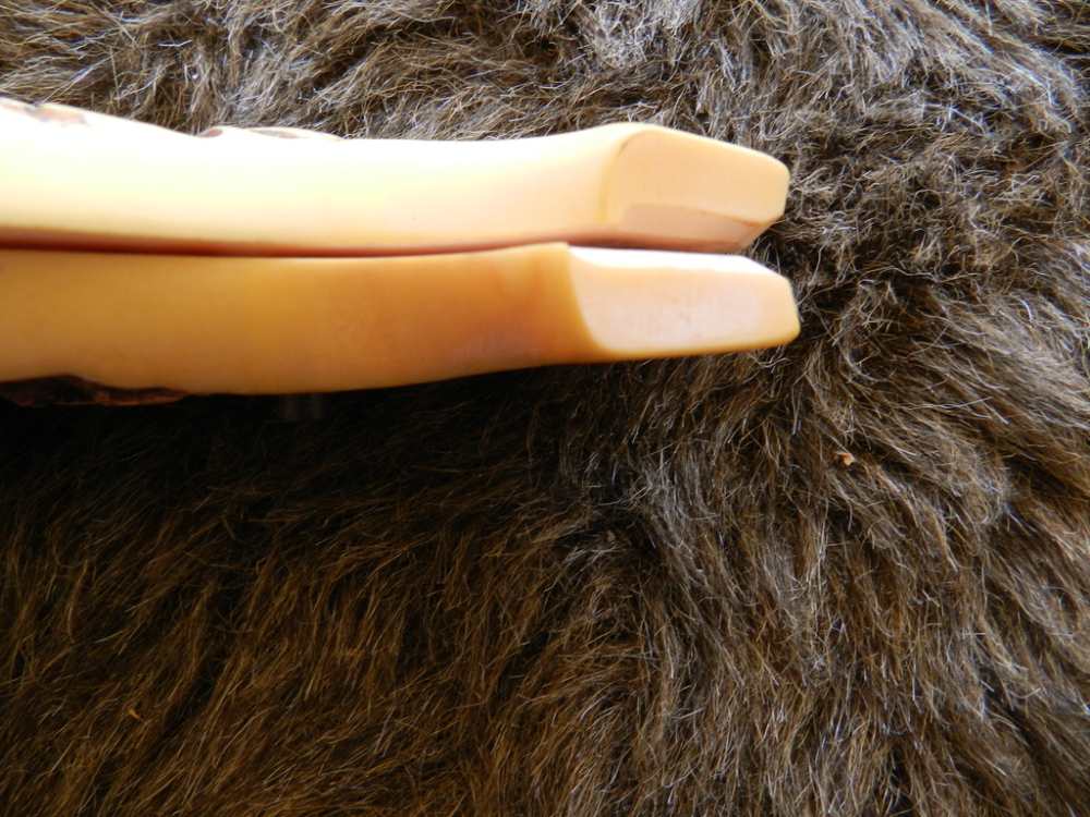 Colt Stag Grips, New-img-4