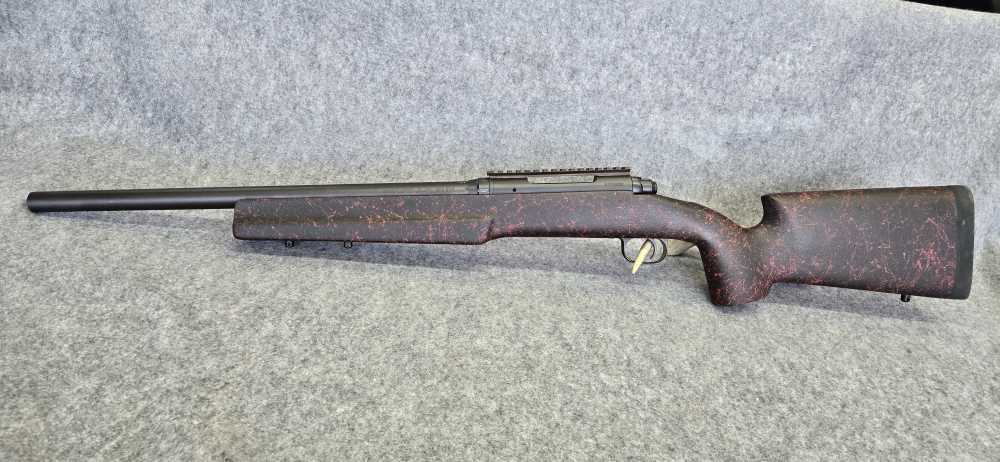 Savage Model 10 223 Rem 20" Hvy Barrel + Rail + McMillan stock Custom Rifle-img-0