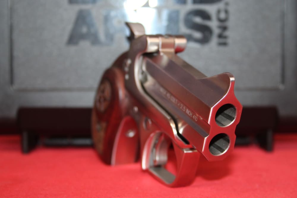 Bond Arms Defender 45Colt/410GA 3" Barrel, LAYAWAY AVAILABLE!-img-4