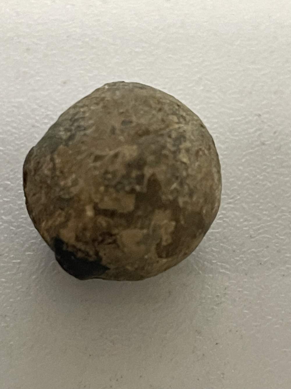 Musket-ball found at the battlefield Antietam-img-1