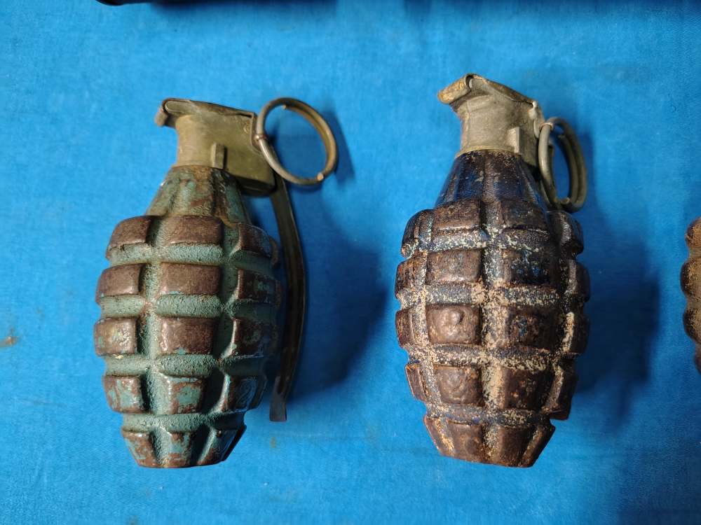 4 Practice Pineapple Hand Grenades & 1 cardboard storage container-img-1