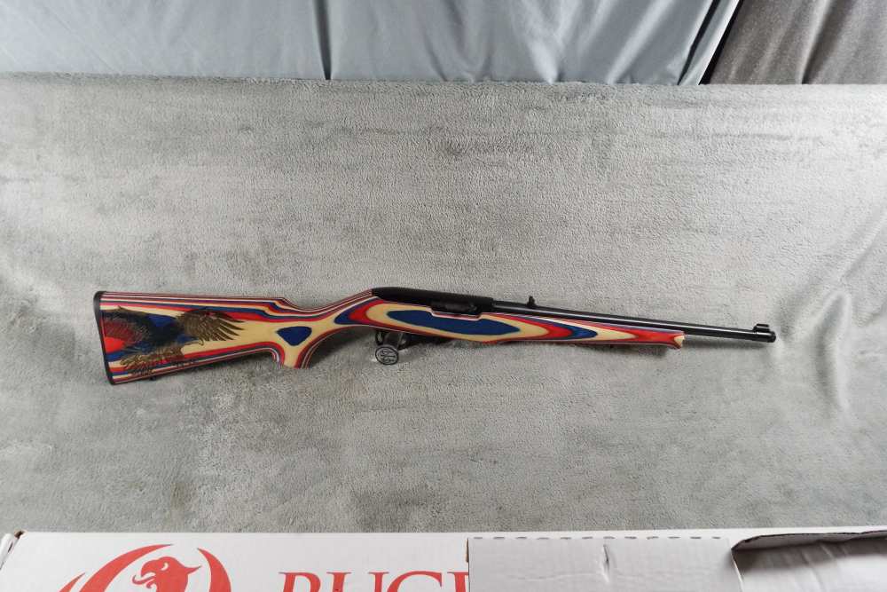Ruger 10/22 Usa shooting team-img-0
