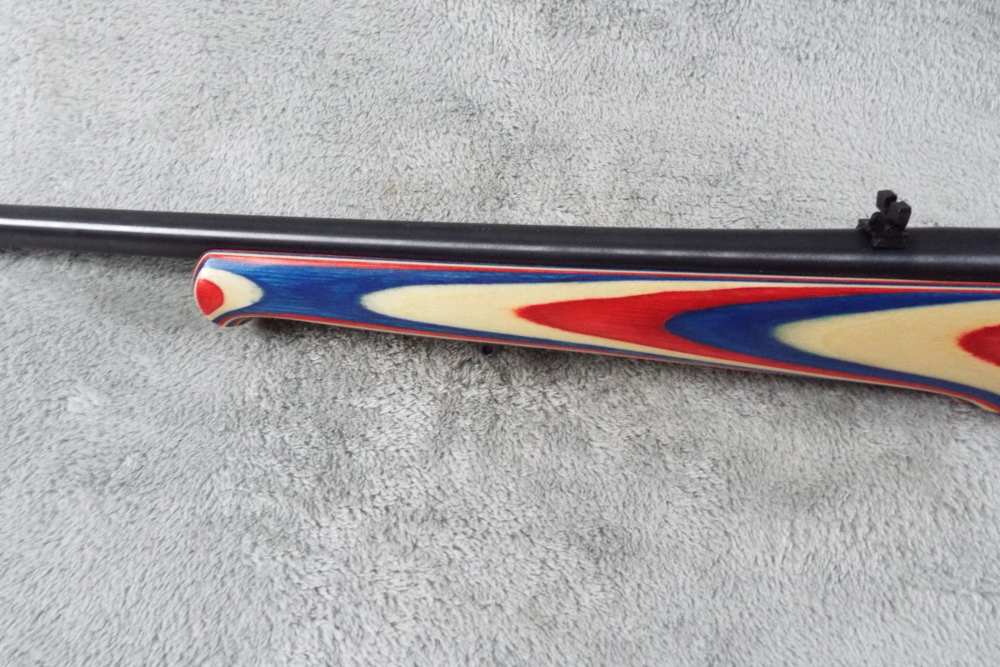 Ruger 10/22 Usa shooting team-img-7