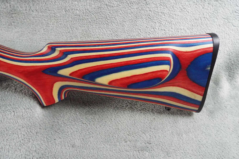 Ruger 10/22 Usa shooting team-img-5