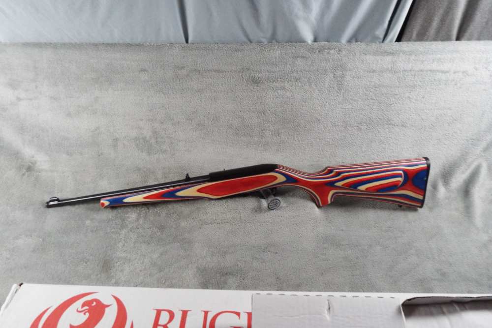 Ruger 10/22 Usa shooting team-img-9