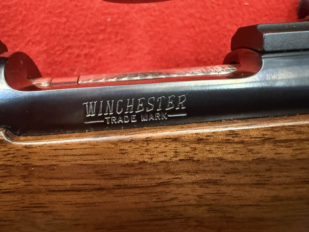Winchester 70 CRF Classic Compact S/A 243 Win. New Haven CT -img-24