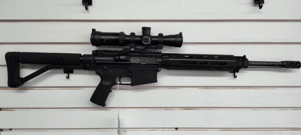 DPMS LR10, Customs Build-img-0