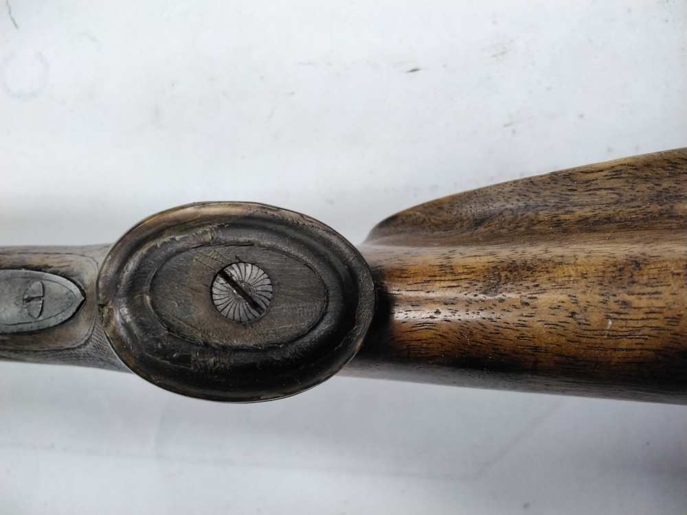 Herold E. Schutzmarke 12ga SxS - Exquisite Scroll Engraving, German Proofs-img-23