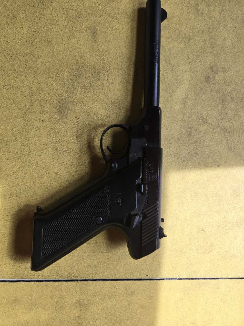 Iver Johnson Trailsman 22lr semi auto pistol Jacksonville AR-img-0