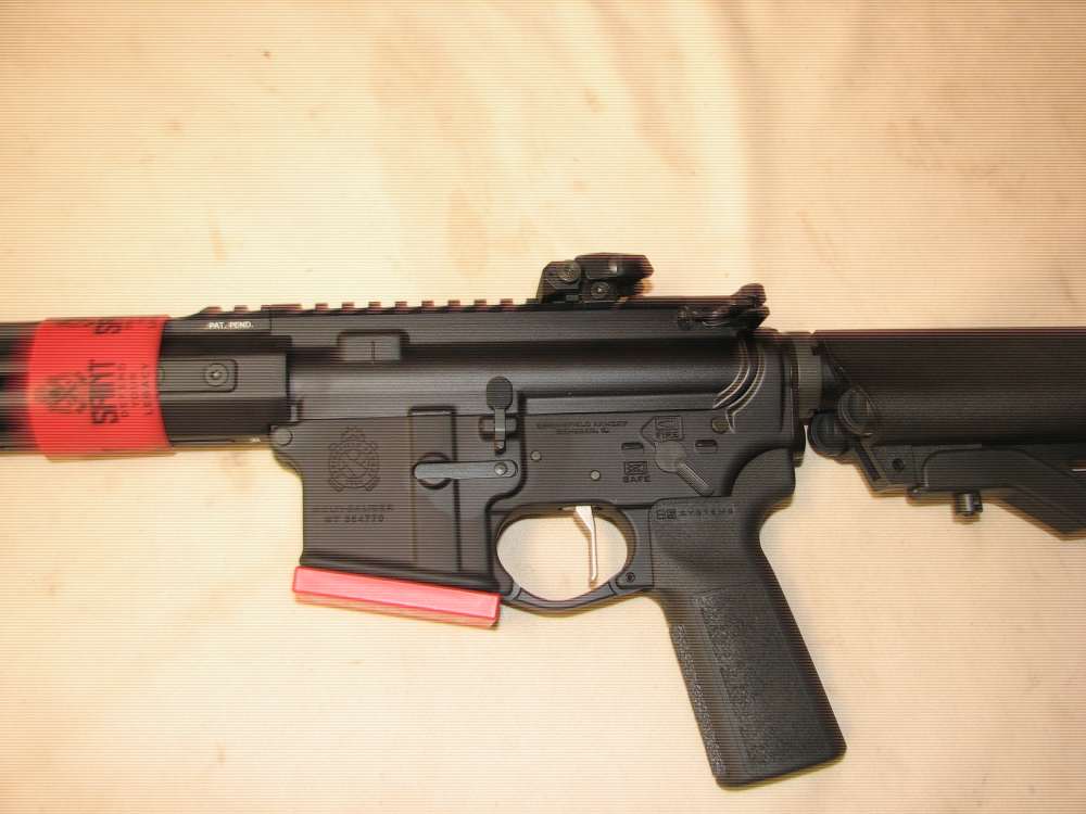 Sprimgfield Saint vector -img-2