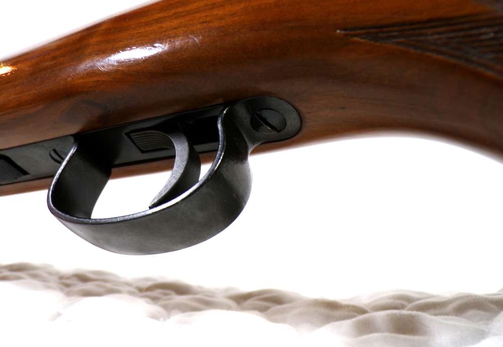 Savage-Anschutz 141 22LR 22"Bbl  Rosewood fore-end tip Very Clean Rifle-img-21