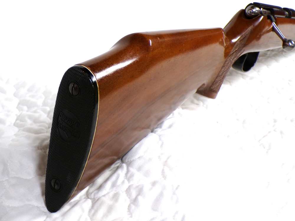 Savage-Anschutz 141 22LR 22"Bbl  Rosewood fore-end tip Very Clean Rifle-img-38