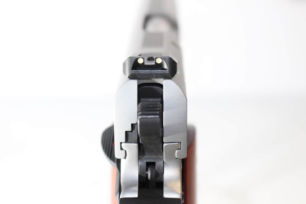 Smith & Wesson 1911 E series, .45ACP, Stainless, New in case-img-5