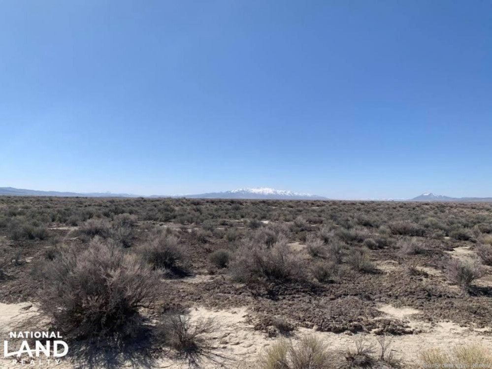 14.5 acres  in humbolt county , nevada  (marajuana farm)   offers or  LEASE-img-16
