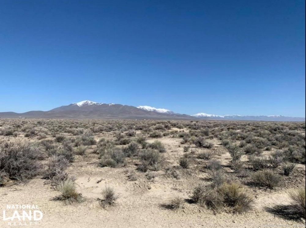 14.5 acres  in humbolt county , nevada  (marajuana farm)   offers or  LEASE-img-17
