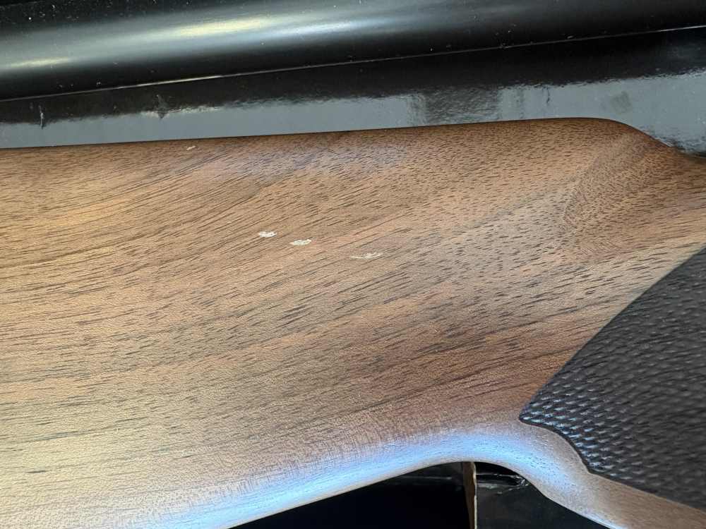 POINTER SPORT TEK 8 12GA SEMI-AUTO 30" BLUED WALNUT-img-8