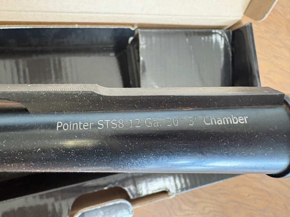 POINTER SPORT TEK 8 12GA SEMI-AUTO 30" BLUED WALNUT-img-7