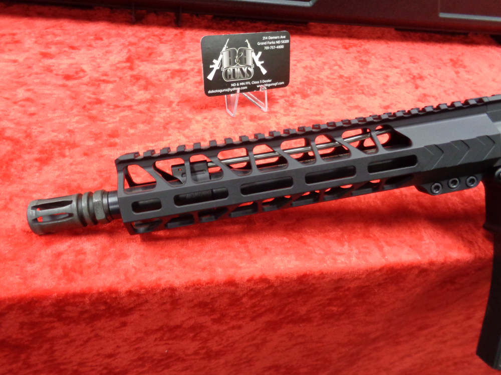NEW BAD Workhorse AR-15 5.56 PISTOL Brace 10.5" Barrel Hard Case WE TRADE-img-8