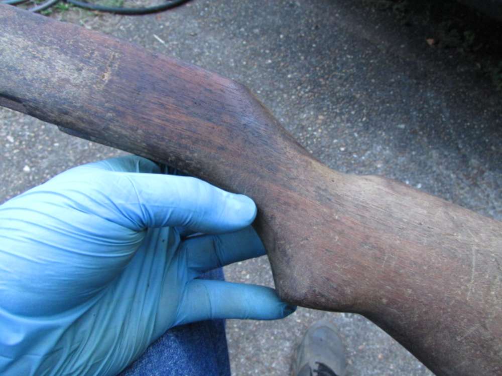 Nice USGI M1 Garand Walnut Stock FREE SHIPPING!-img-5
