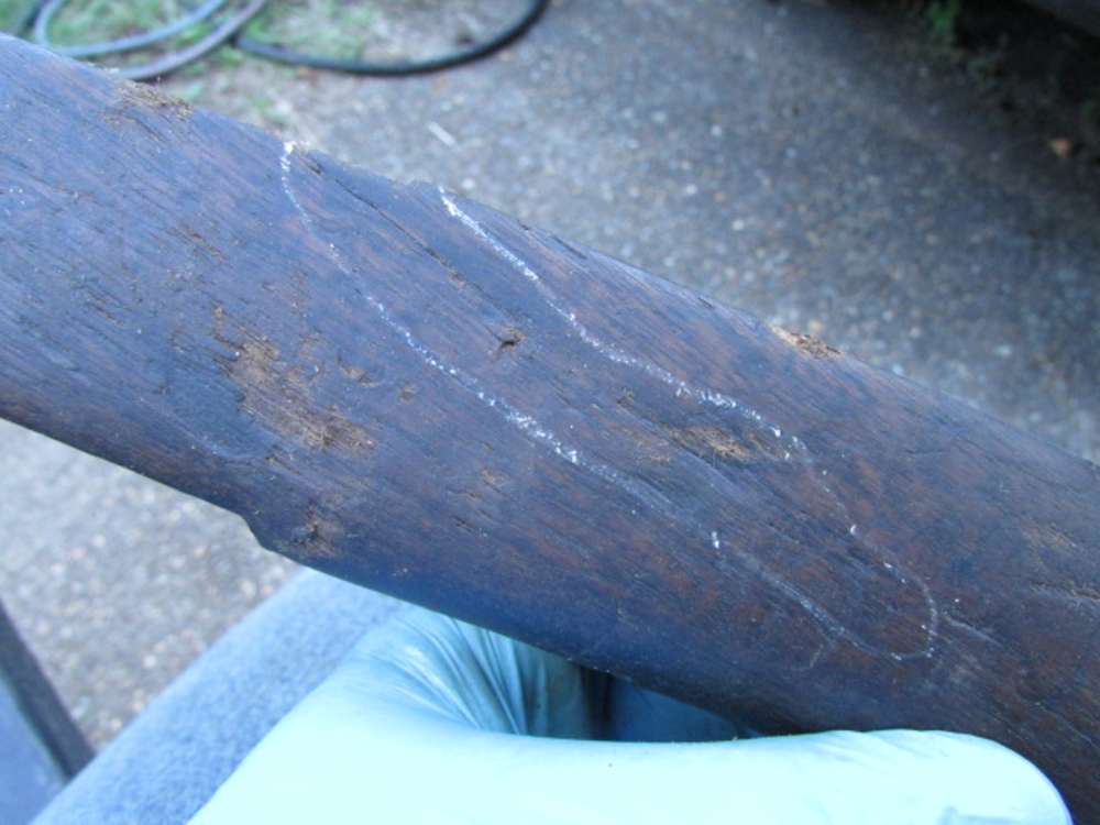 M1 Garand Walnut Project Stock Double Rebuild Stamps SA/T SA/K FREE SHIP!-img-23