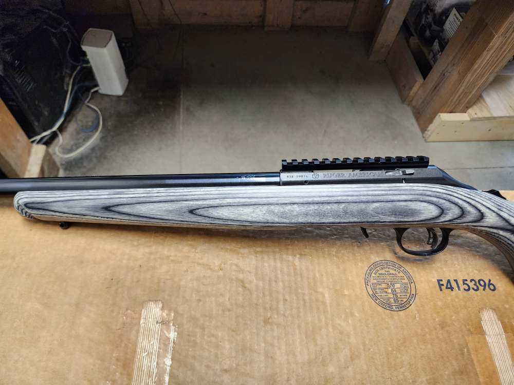 PICS NEW RUGER AMERICAN RIMFIRE RIFLE .17 HMR 18" BULL THREADED LAMINATE 17-img-18