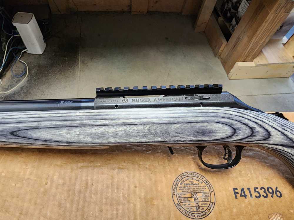 PICS NEW RUGER AMERICAN RIMFIRE RIFLE .17 HMR 18" BULL THREADED LAMINATE 17-img-19
