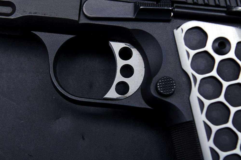 Kimber 1911 TLE/RL II .45 ACP-img-13