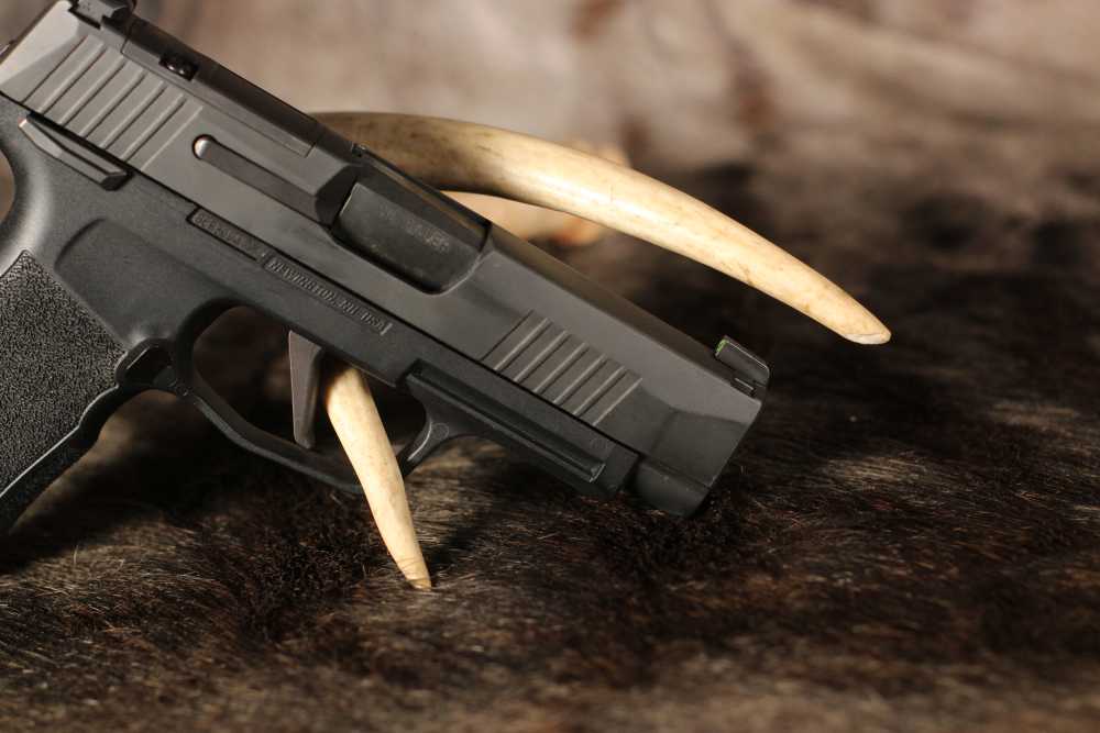 Sig P365X - 9 mm -img-6