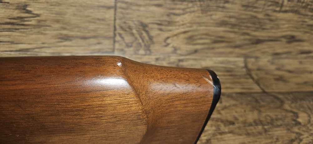 Arms Corp Model 20-P Bolt Action Rifle .22 LR w/ Magazine-img-16