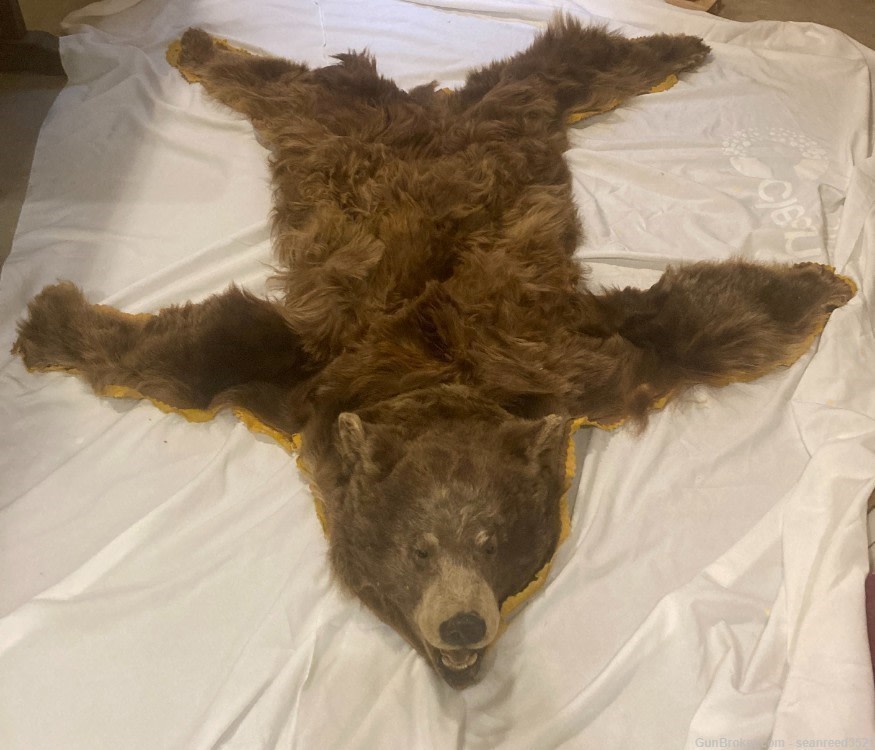Brown Bear Rug-img-3