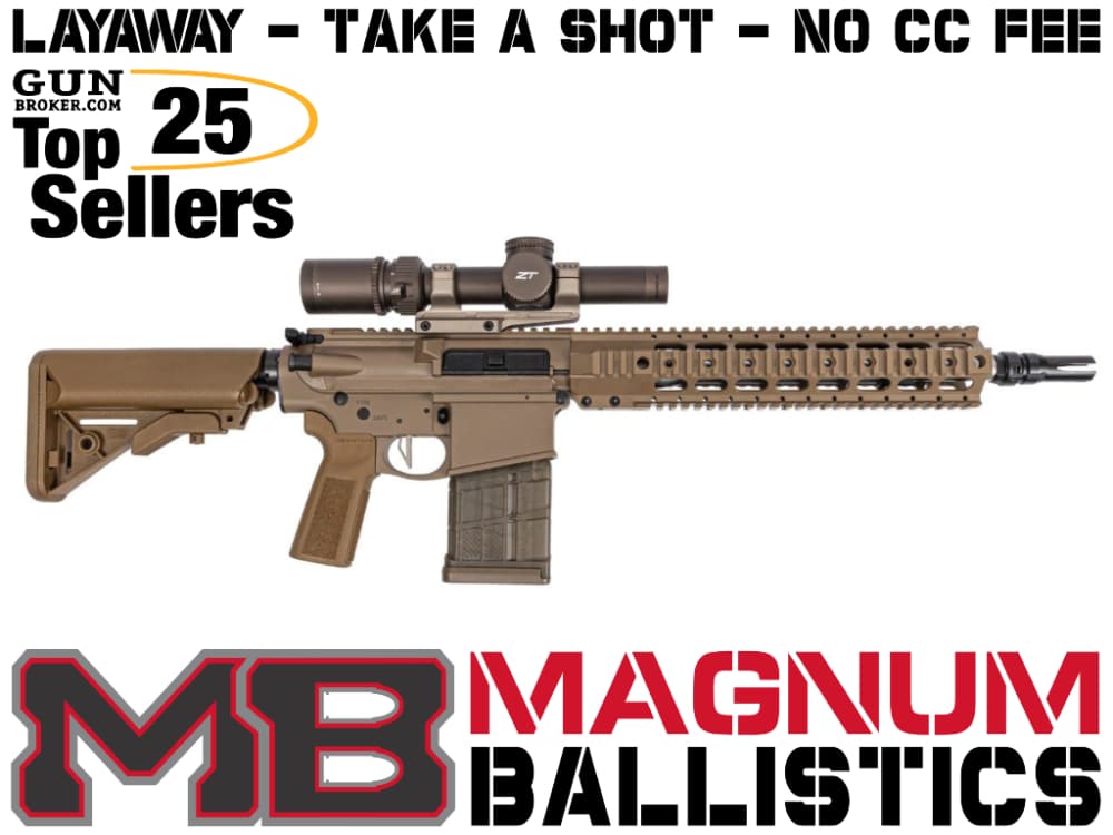 DPMS DR-10 308-img-0