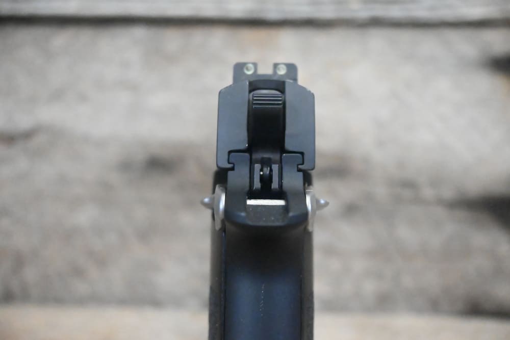 SIG P938 EQUINOX 9MM PARA-img-16