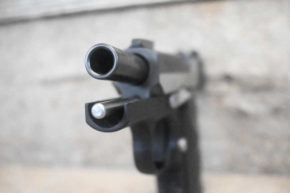 SIG P938 EQUINOX 9MM PARA-img-18