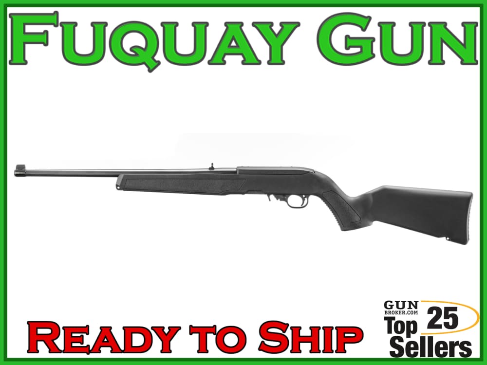 Ruger 10/22 -img-5