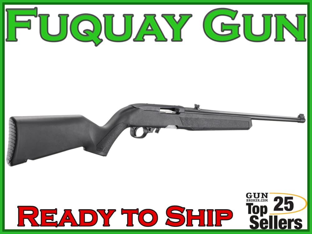 Ruger 10/22 -img-2