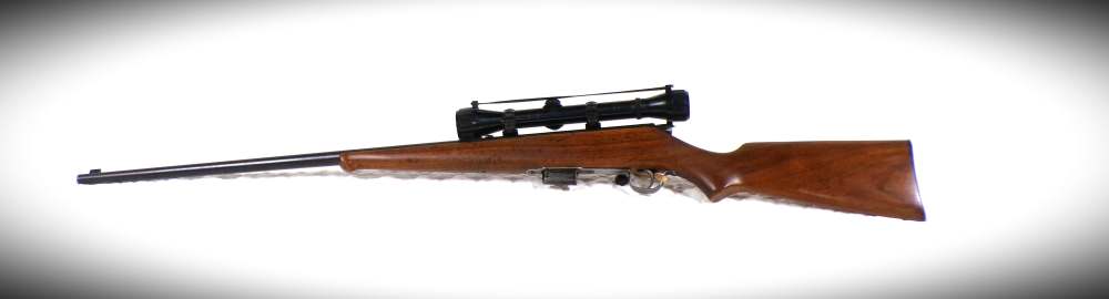 Savage Sporter 23B chambered .25-20 24"Bbl Weaver K-4 Scope orig. magazine-img-6