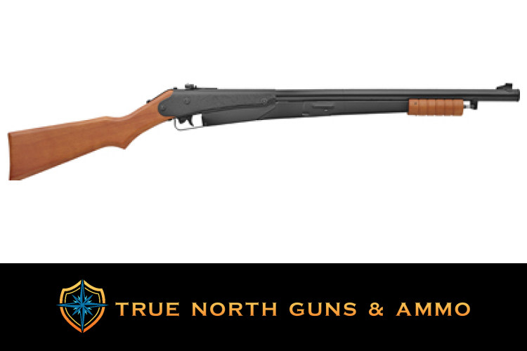 Daisy Model 25 Pump BB Gun - Classic Air Rifle-img-0