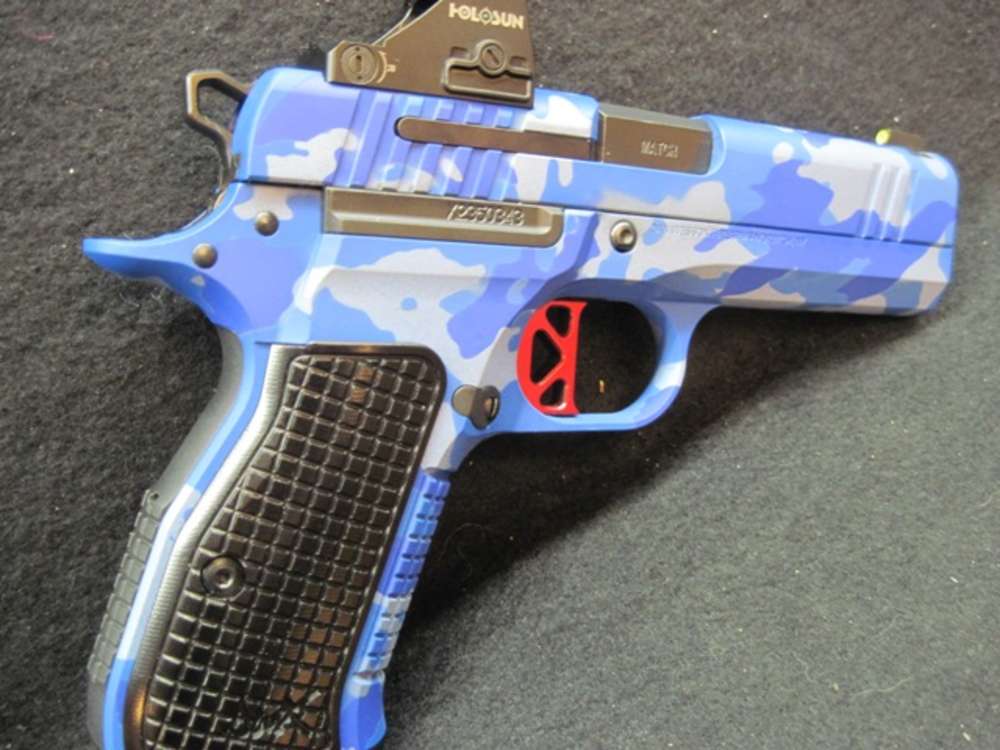 Dan Wesson DWX Compact-img-2