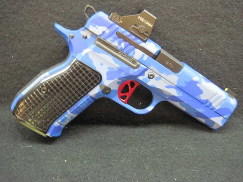 Dan Wesson DWX Compact-img-1