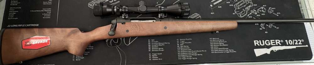 Savage Axis .270 - Weaver Scope - WOOD STOCK - BOLT ACTION - LIKE NEW-img-0